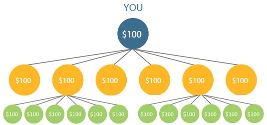 Young Living 500 bonus